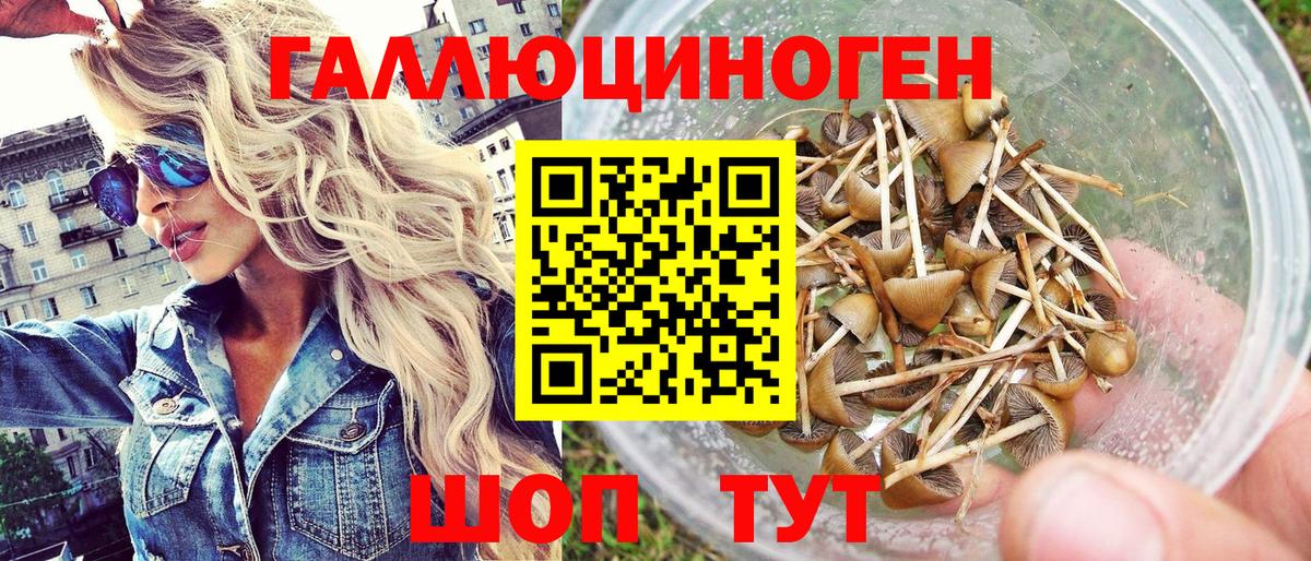Галлюциногенные грибы Magic Shrooms  Псилоцибиновые грибы мухоморы  Вход с VPN  Краснодар 